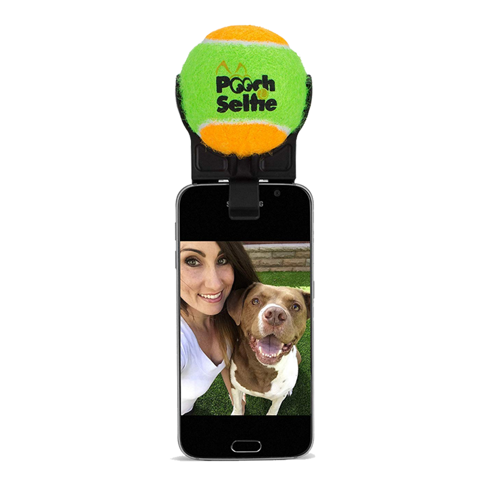 PoochSelfiePhone
