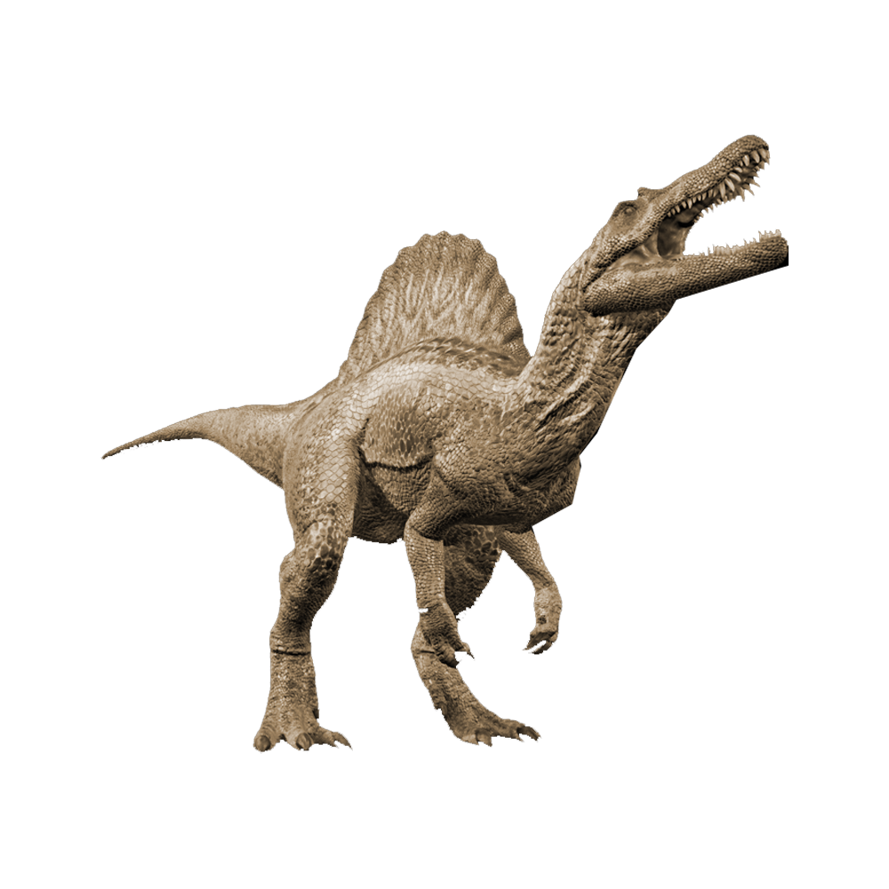 Spinosaurus3