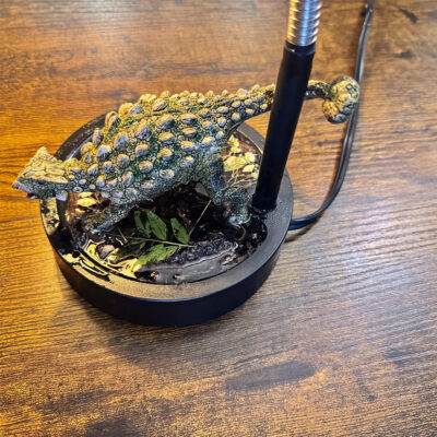 Dinosaur Desk Lamp and Night Light Ankylosaurus