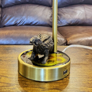 Dinosaur Desk Lamp and Night Light Hylaeosaurus