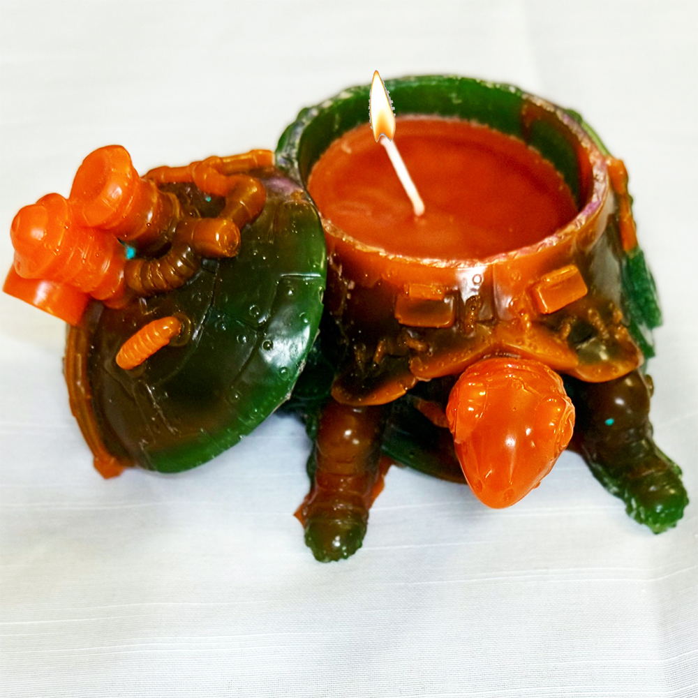Funky Tortoise Caddy Candles