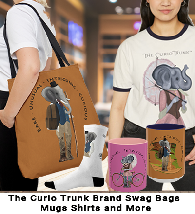 CatHdrCurioTrunkSwagNew