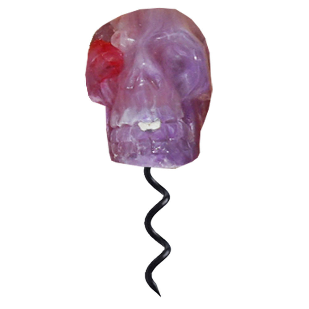 PurpleScrewSkull